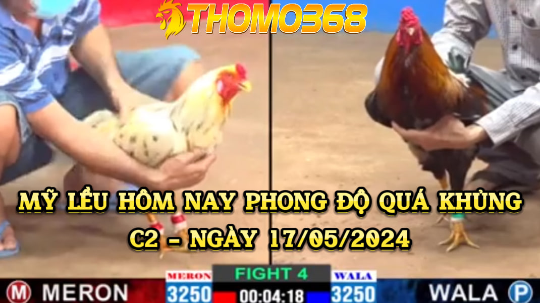 Mỹ Lều hôm nay phong độ quá khủng