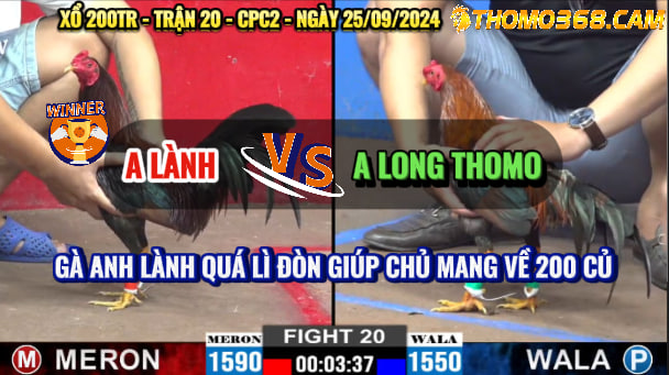 Trận 20 CPC2 25/09/2024