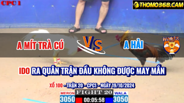 Trận 20 CPC1 19/10/2024