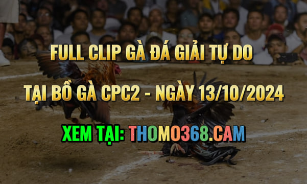 Gà Đá Giải CPC2 13/10/2024