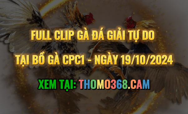 Gà Đá Giải CPC1 19/10/2024