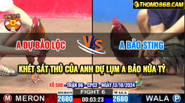 Trận 6 CPC2 Ngày 13/10/2024