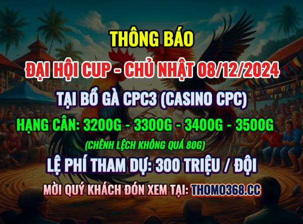 Đại Hội Cup CPC3