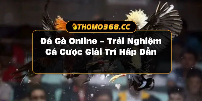 Đá Gà Online