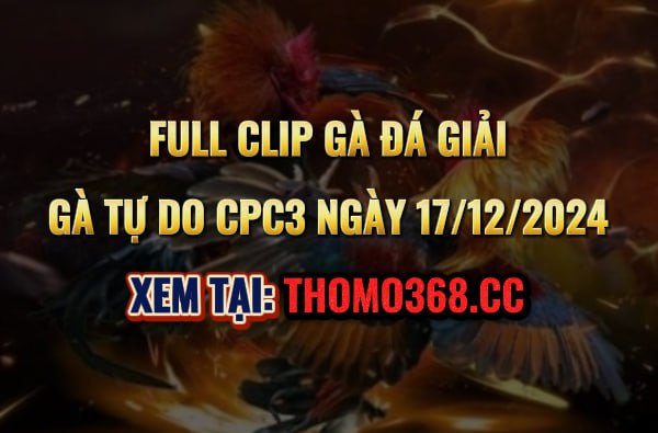 Gà Đá Giải C3 Ngày 17/12/2024