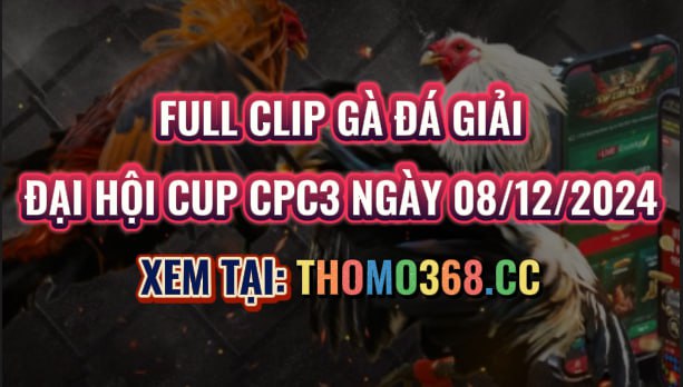 Gà Đá Giải CPC3 08/12/2024