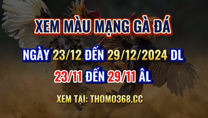 Màu Mạng Gà Đá Ngày 23/12 Đến 29/12/2024