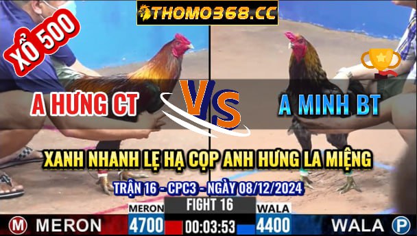 Trận 16 CPC3 8/12/2024