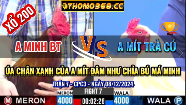 Trận 7 CPC3 08/12/2024